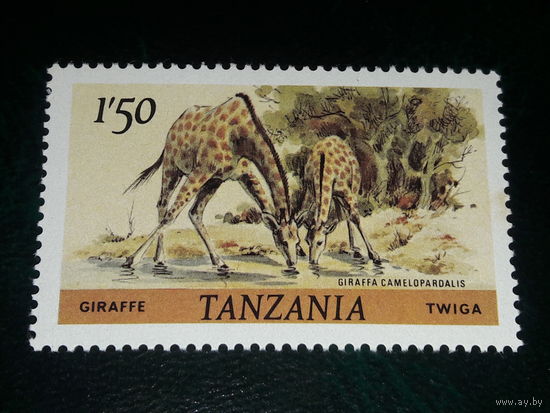 Танзания 1980 Фауна. Жираф. Чистая марка