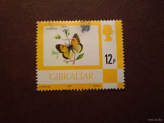 Гибралтар 1977 г. Дневная бабочка -Желтушка шафрановая./3а/