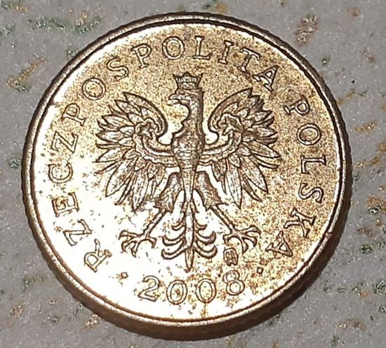 Польша 1 грош, 2008 (4-14-83)
