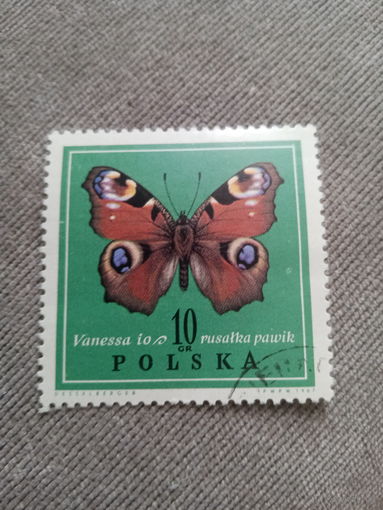 Польша 1967. Бабочки. Шоколадницы