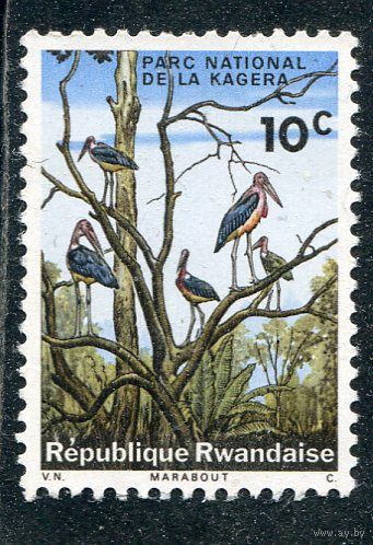 Руанда. Фауна. Национальный парк. Африканская марабу