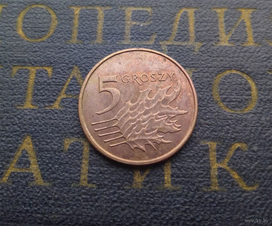 5 грошей 2011 Польша #03