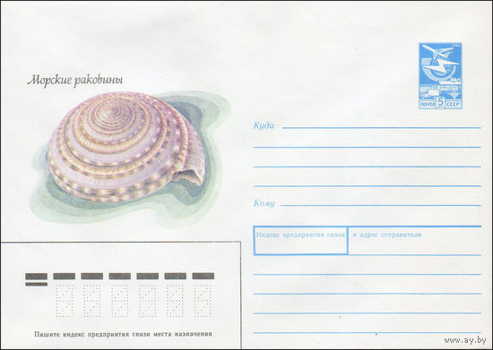 Художественный маркированный конверт СССР N 87-527 (11.12.1987) Морские раковины [Архитектоника ложечная]