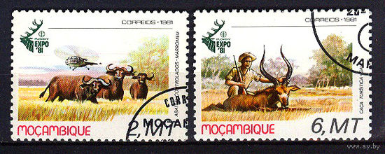 1981 Мозамбик. Охота