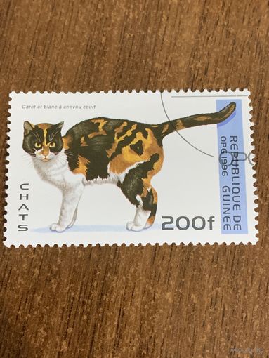 Гвинея 1996. Породы кошек. Трехцветная. Марка из серии