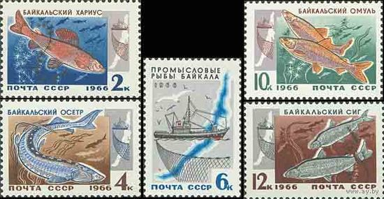 Рыбы Байкала СССР 1966 год (3399-3403) серия из 5 марок