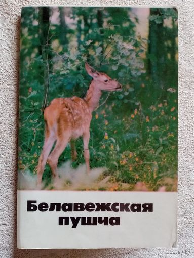 Белавежская пушча. 1981 г Набор открыток Беловежская пуща