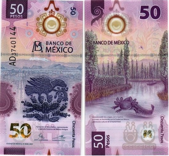 Мексика 50 песо  2021 год  UNC  (полимер)