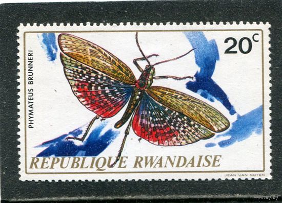 Руанда. Насекомые