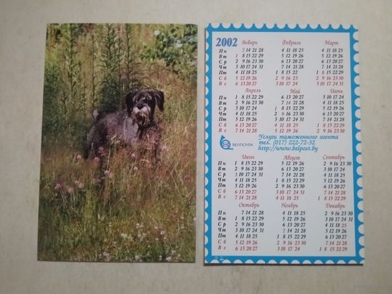 Карманный календарик . Собака . Белпочта. 2002 год