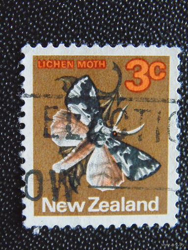 Новая Зеландия. Бабочка.