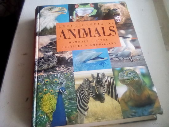 Encyclopedia of Animals. Mammals. Birds. Reptiles. Amphibians. - San Francisco: Fog City Press, 2000. - 688 p.