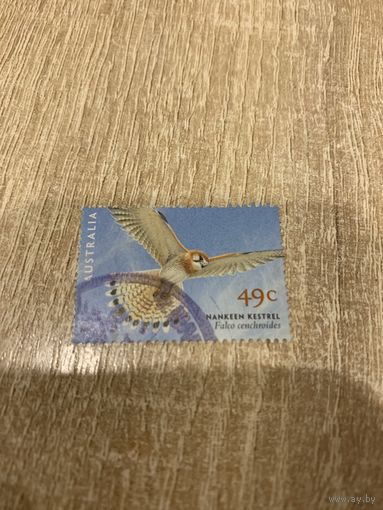 Австралия 2001. Птицы. Falco cenchroides. Марка из серии