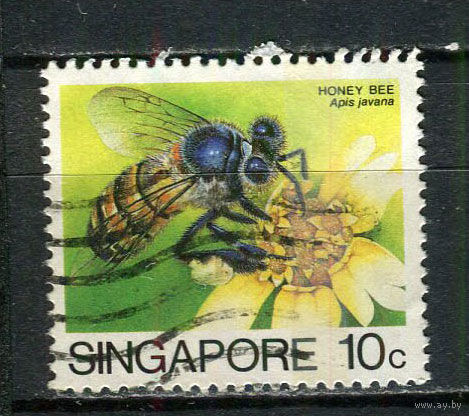 Сингапур - 1985 - Насекомые 10С - [Mi.464I] - 1 марка. Гашеная.  (Лот 91FB)-T25P10