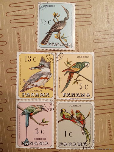 Панама. Фауна. Птицы