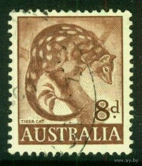 Австралия 1959 Mi# 297 Утконос. Гашеная (AU04)