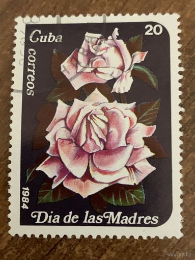 Куба 1984. День матери. Полная серия