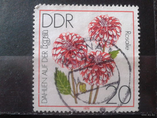 ГДР 1979 Цветы
