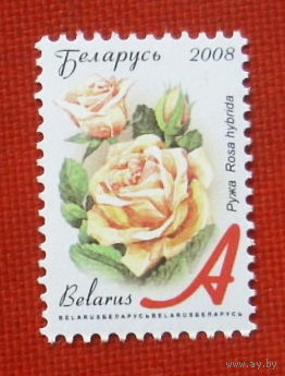 Беларусь. Стандарт. ( 1 марка ) 2008 года. 9-4.