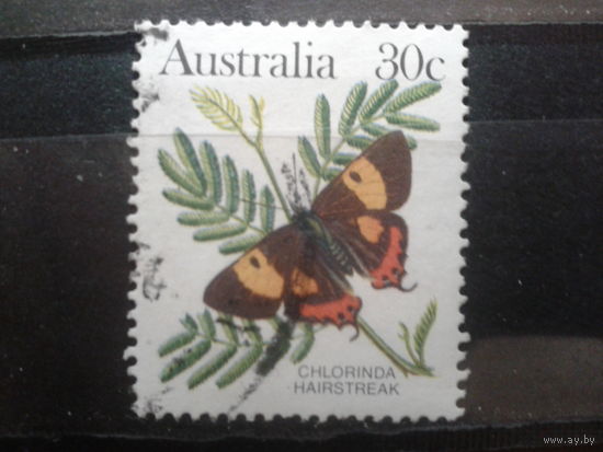 Австралия 1983 папоротник и бабочка