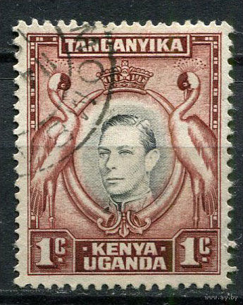 Британские колонии - Кения, Уганда, Таганьика - 1938/1954 - Король Георг VI и журавли 1С - [Mi.52aA] - 1 марка. Гашеная.  (Лот 55EW)-T25P3