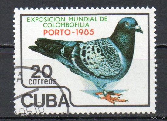 Голубь Куба 1985 год серия из 1 марки