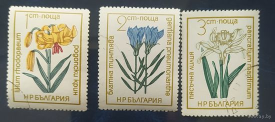 Болгария 1972 Цветы 3м.