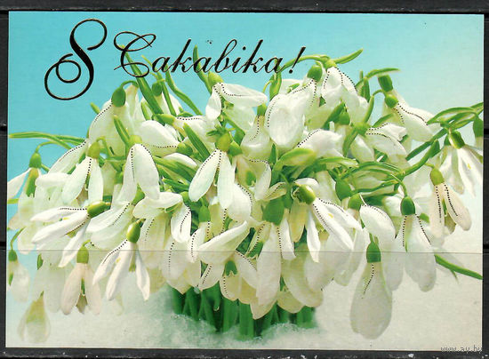 Почтовая карточка " 8 Сакавiка"(Н).   Маркированная
