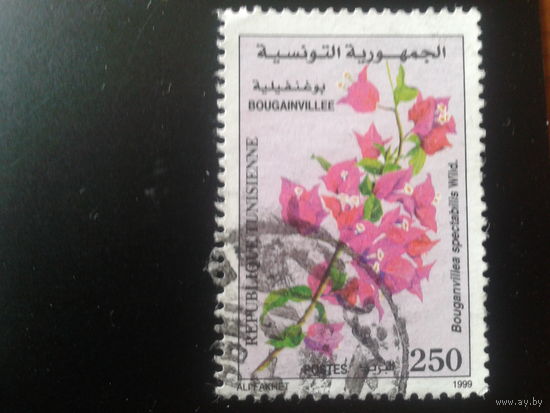 Тунис 1999 цветы