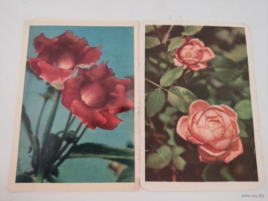 2 открытки с цветами (фото Л.Раскина) 1959 и 1963гг.