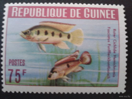 Гвинея 1964 рыбы