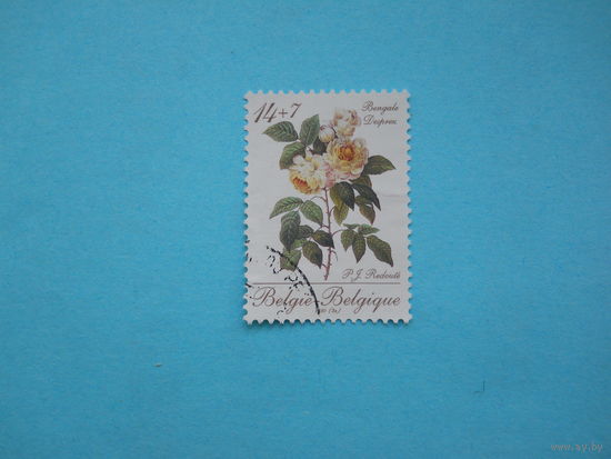 Бельгия 1990 г. Мi-2410. Розы.