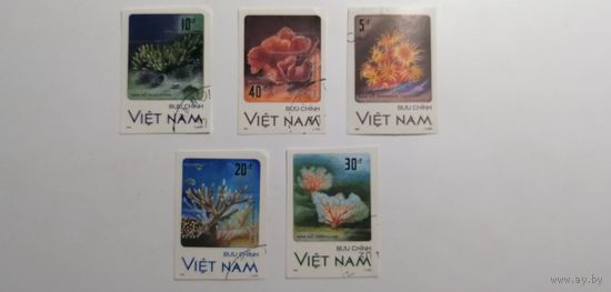Вьетнам 1987. Кораллы. Беззубцовки