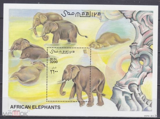 2000 Сомали 859 / B74 Слоны   MNH