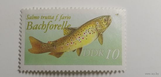 ГДР 1987. Рыбы