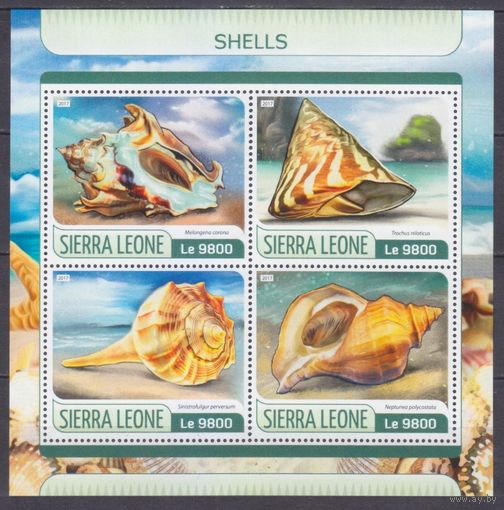 2017 Сьерра-Леоне 8535-8538KL Морская фауна - Морские раковины 11,00 евро