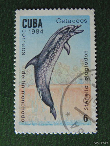 Куба 1984г. Фауна.