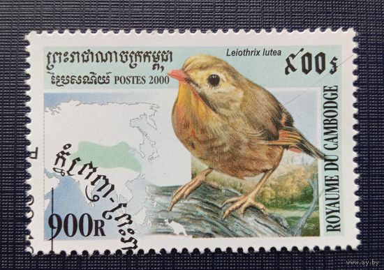 Марка  Камбоджа 2000 Птицы