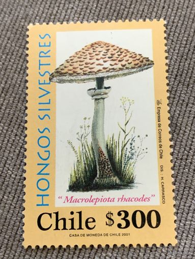 Чили 2001. Грибы. Macrolepiota rbacodes. Марка из серии