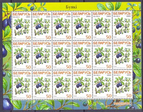Беларусь 2004 седьмой стандарт ягоды флора голубика