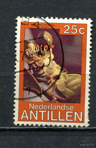 Нидерландские Антильские острова - 1979 - Цветы 25С - [Mi.398] - 1 марка. Гашеная.  (Лот 47ER)-T7P24