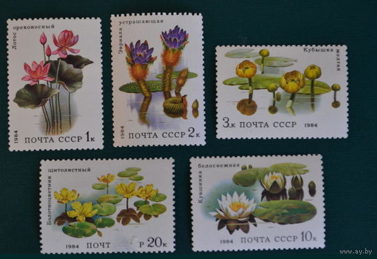 Марки СССР 1984 год.  Водные растения. 5501-5505. Полная серия из 5 марок.