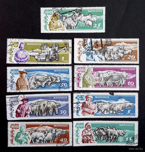 Монголия 1961 г. Домашний скот. Животные. Фауна, полная серия из 9 марок #0193-Ф1