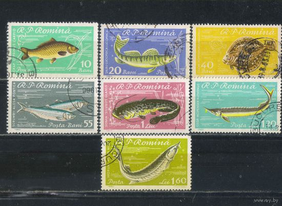 Румыния НР 1960 Рыбы Полная #1927-33