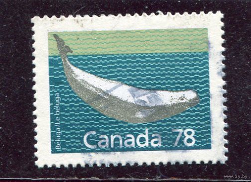 Канада. Дельфин