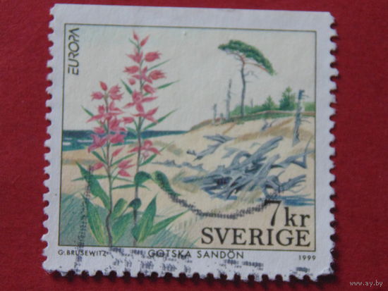 Швеция 1999 г. Цветы.