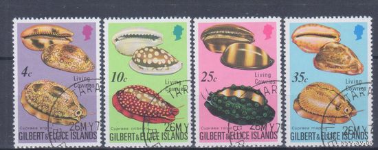 [2480] Британские колонии. Гилберт и Эллис острова 1975. Елизавета II.Фауна.Моллюски каури. Гашеная серия.