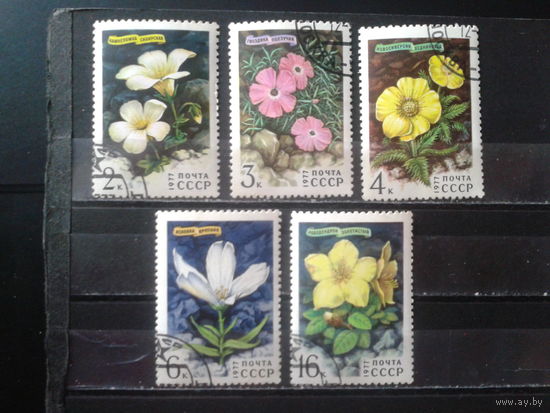 1977 Цветы Сибири Полная серия