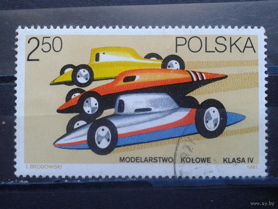 Польша, 1981, Модель автомобиля