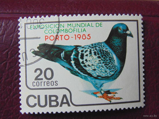 Куба 1985 г. Птицы.